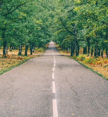 Photo of rural road by Dana Tentis on Pexels